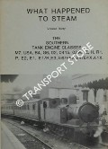 Book cover of What Happened to Steam by HANDS, Peter